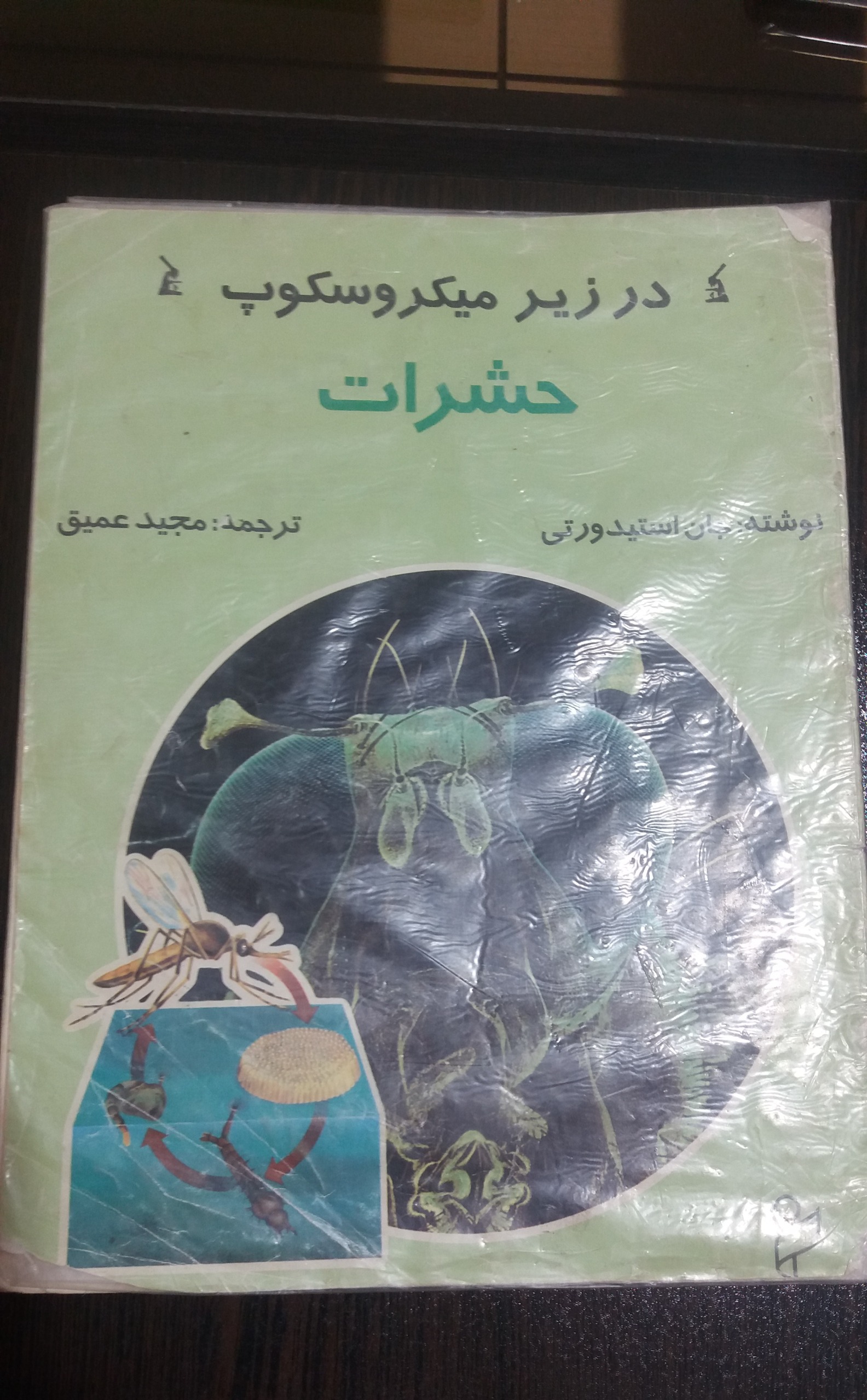 کتاب علمی حشرات زیر میکروسکوپ