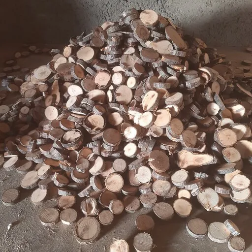 برش چوب کالباسی چوب زردالو (25عددی)