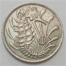 سکه