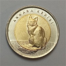 سکه