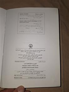 تئوری
