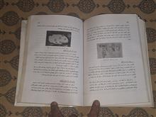 زنبور