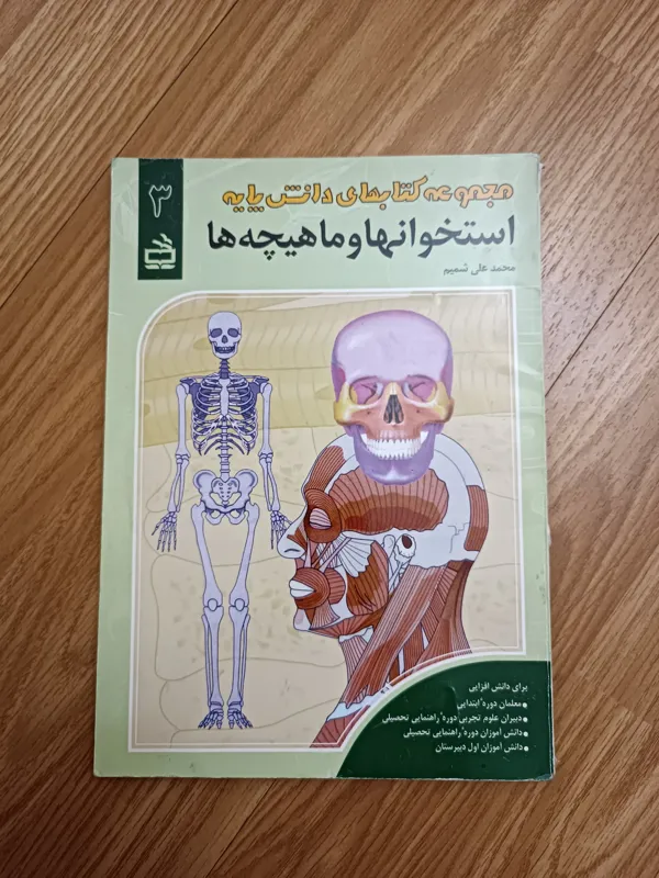 استخوانها و ماهیچه ها