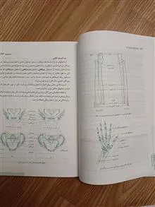 استخوانها