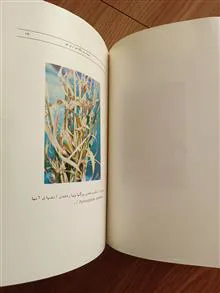 بیماری