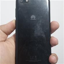 Y5