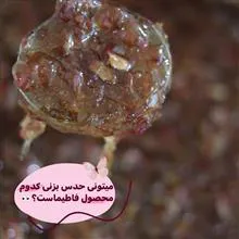 مربای