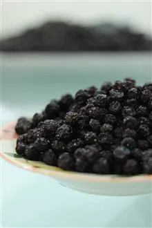 آلبالوخشک