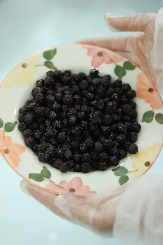آلبالو خشک 500گرمی
