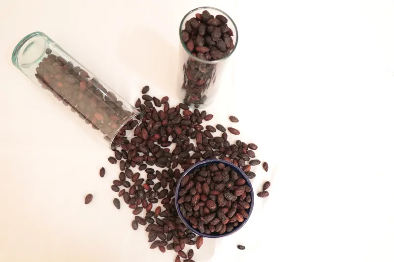 زغال اخته فاطیما فلاح250گرمی