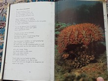 poetry