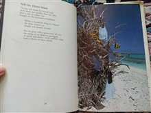 poetry