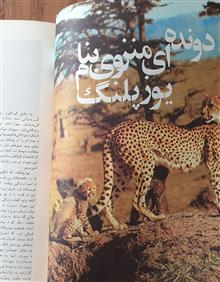 مجله