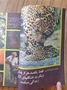 شکار