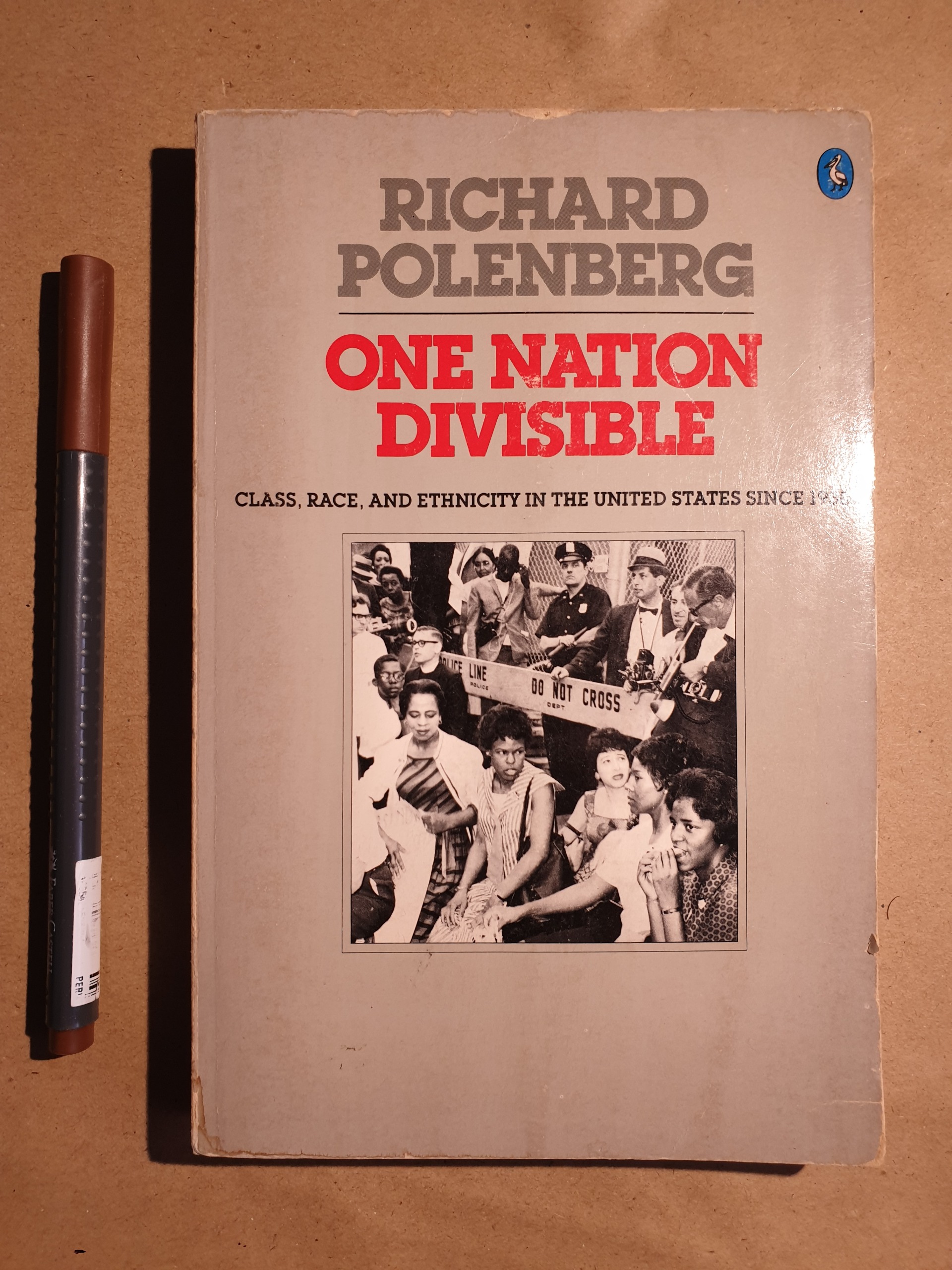 One Nation Divisible Class, Race, and Ethnicity