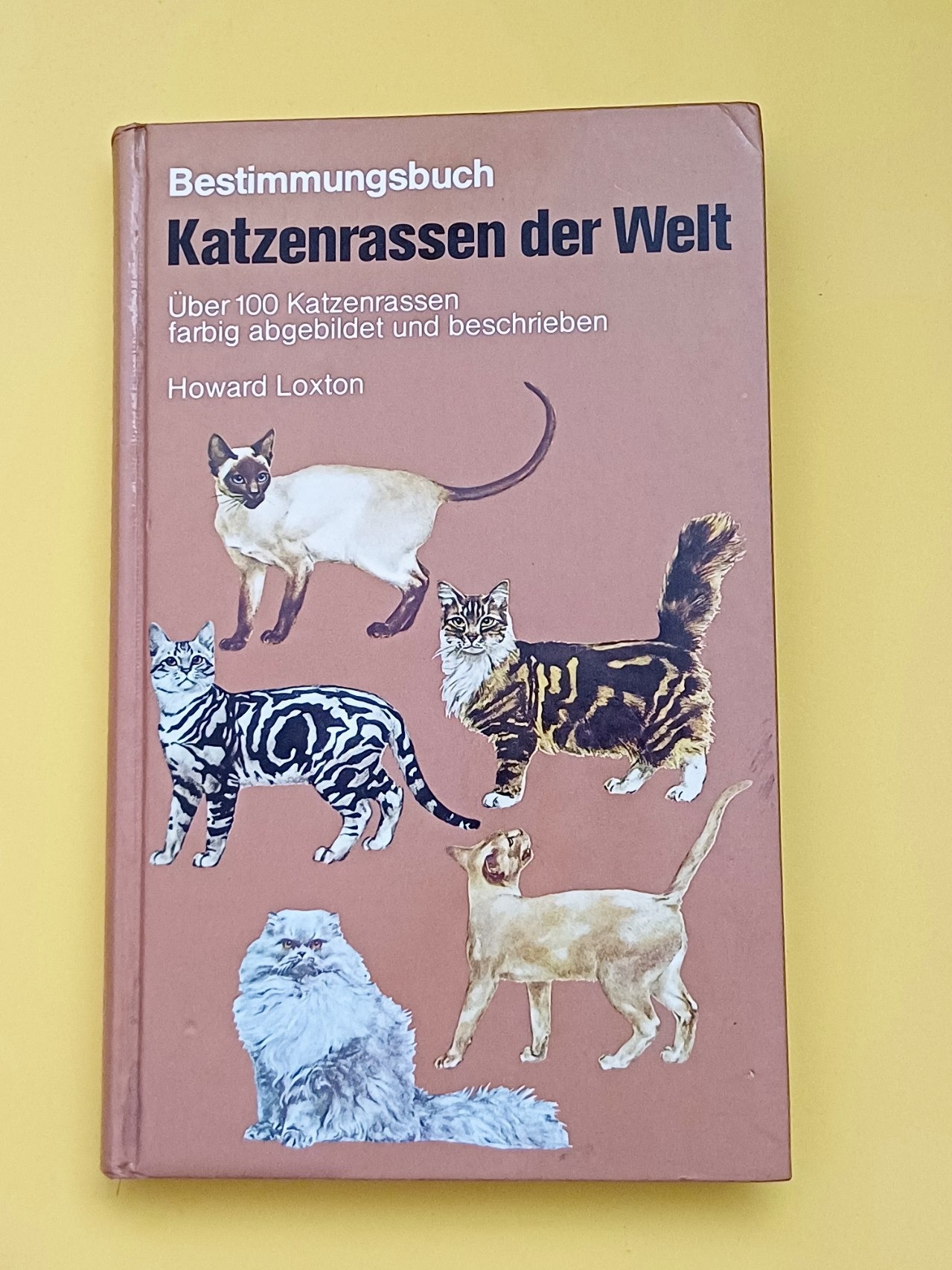 راهنمای نژاد گربه ها زبان آلمانی 1976