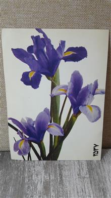 کارت