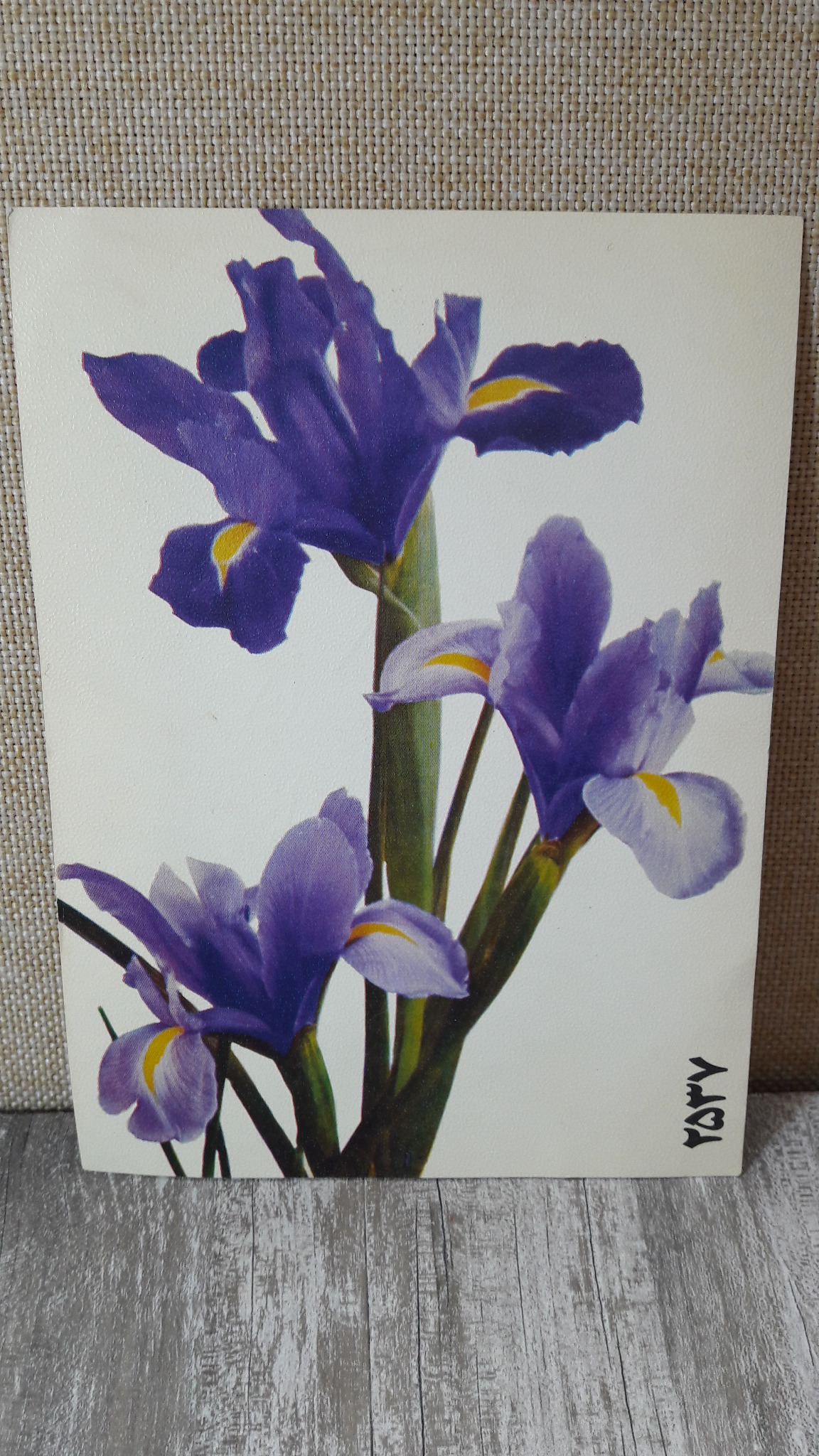 کارت پستال - میر فصیح - دسته گل