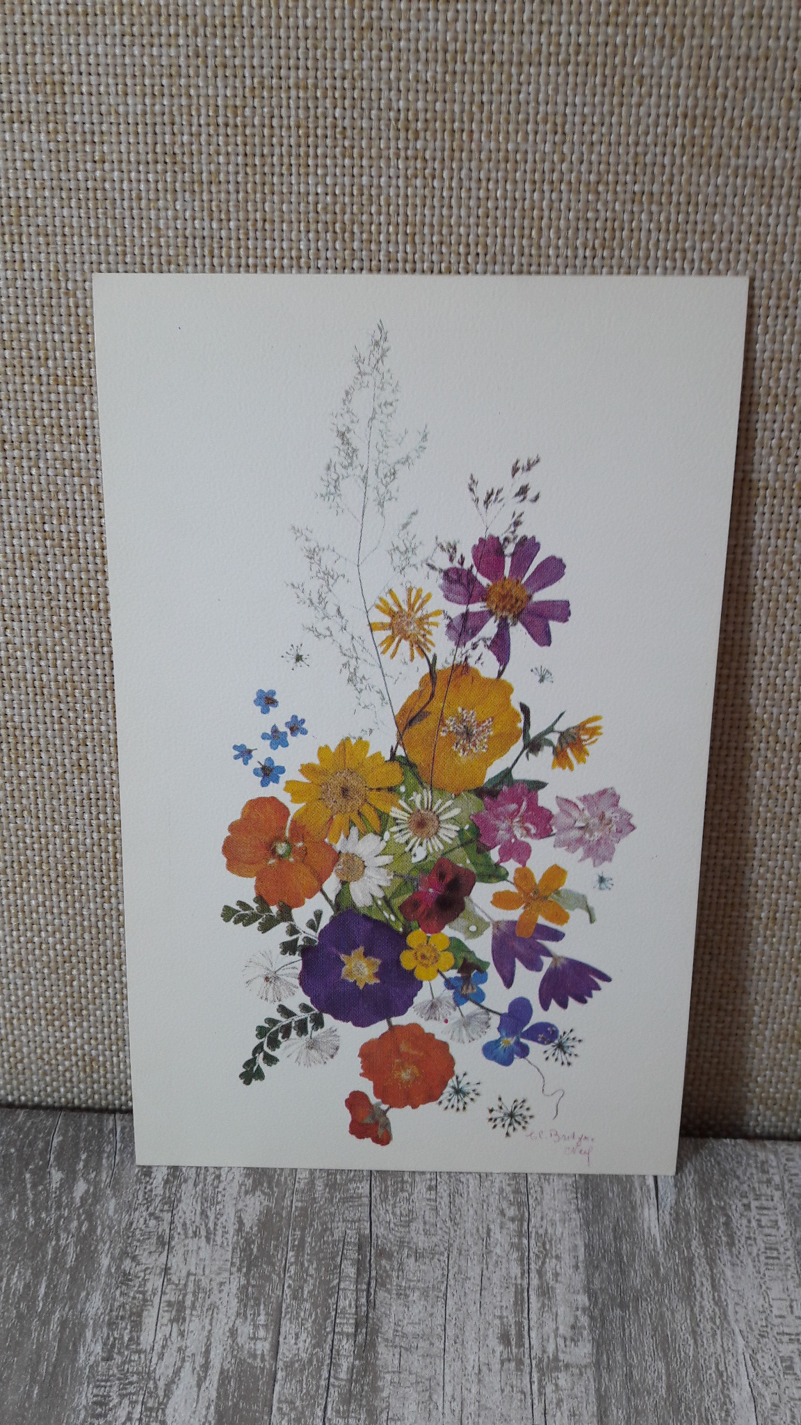 کارت پستال - میر فصیح - دسته گل