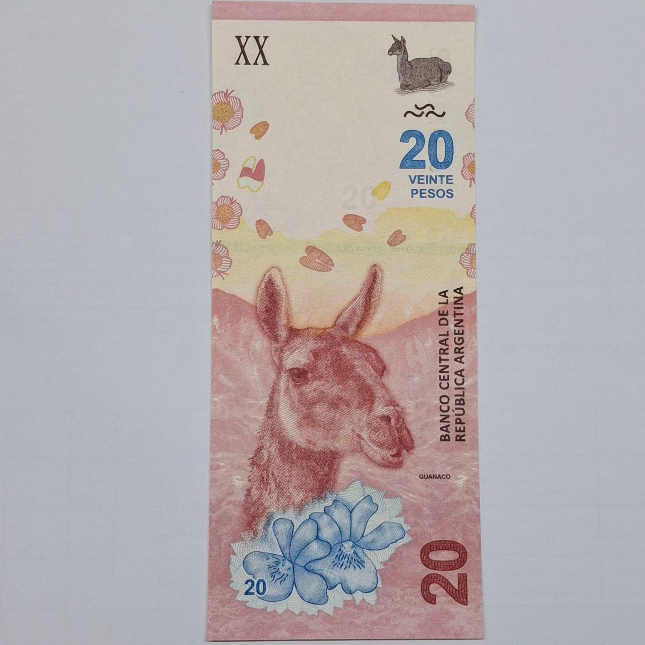 اسکناس 20 پزو آرژانتین