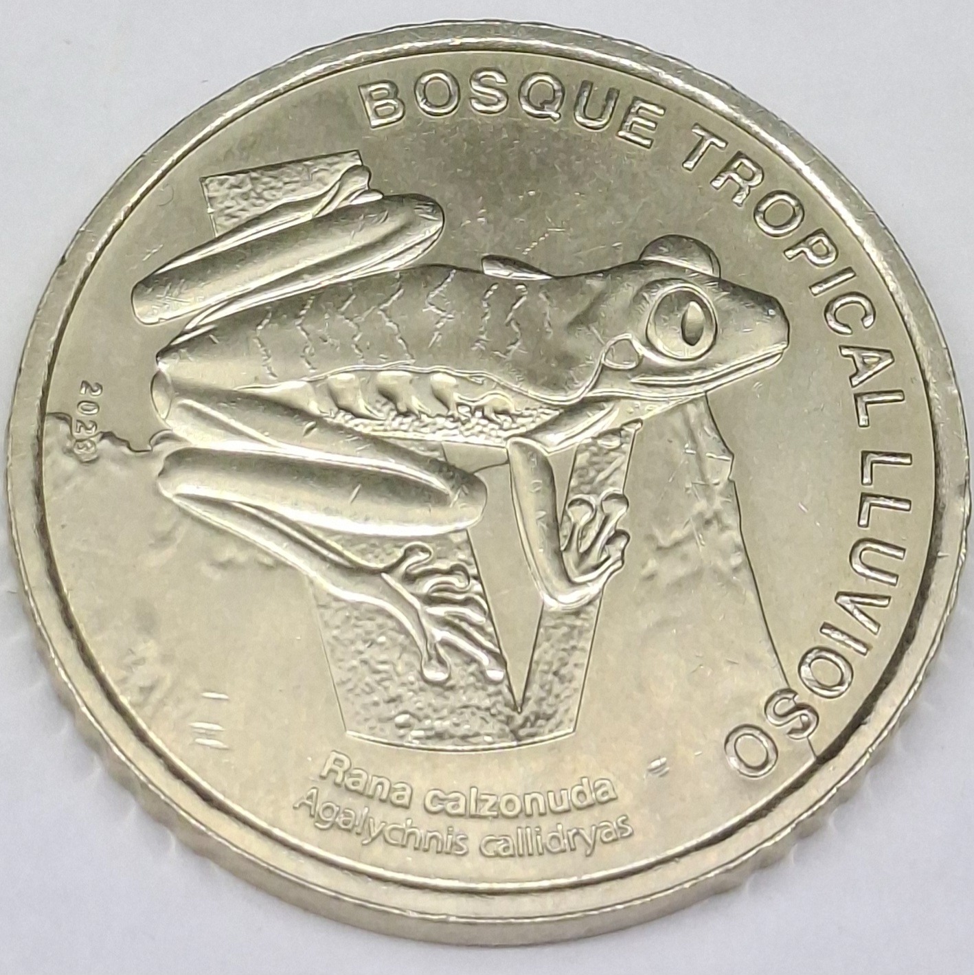 سکه 50 کولون کاستاریکا