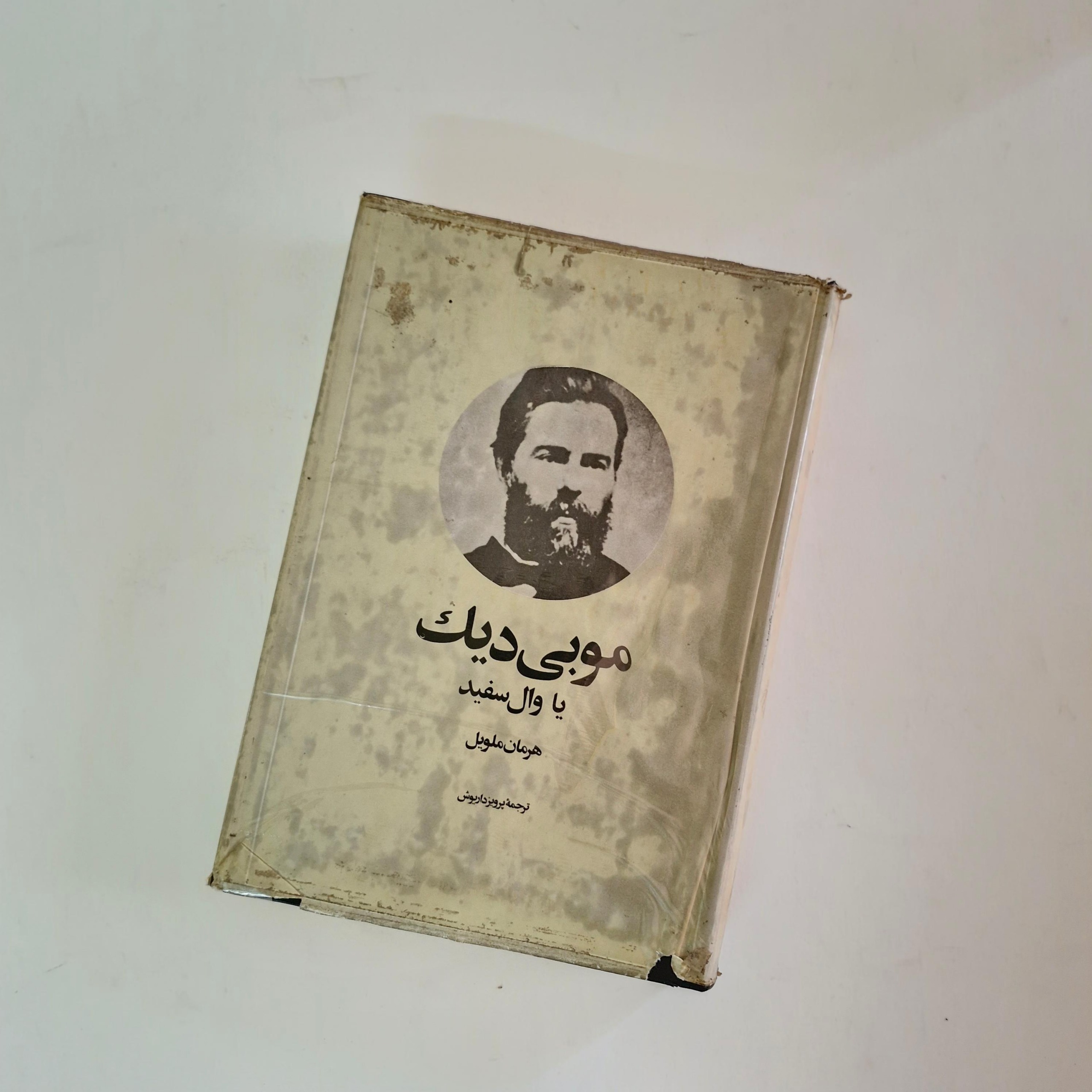 موبی دیک وال سفید