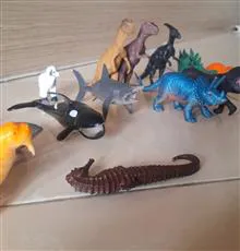 مجموعه