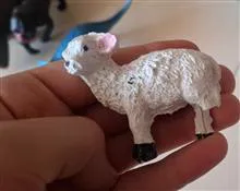 مجموعه