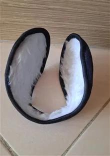 گوشگیر