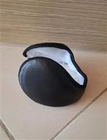 گوشگیر