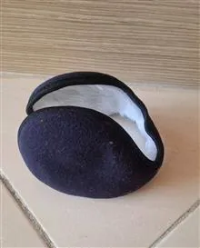 گوشگیر