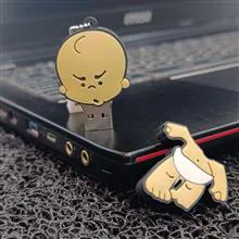 فلش