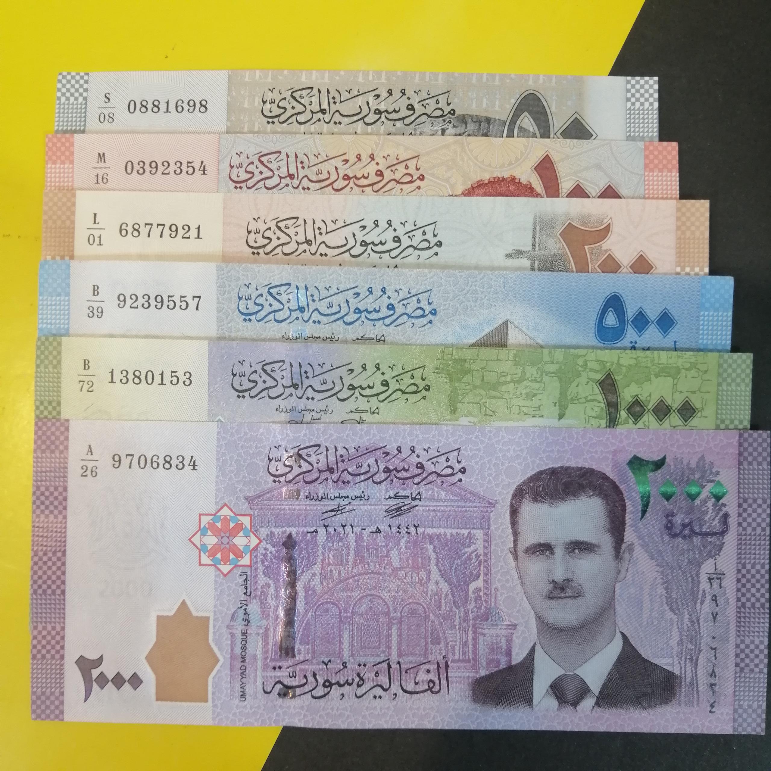 ست 6 عددی سوریه خشک سوپربانکی