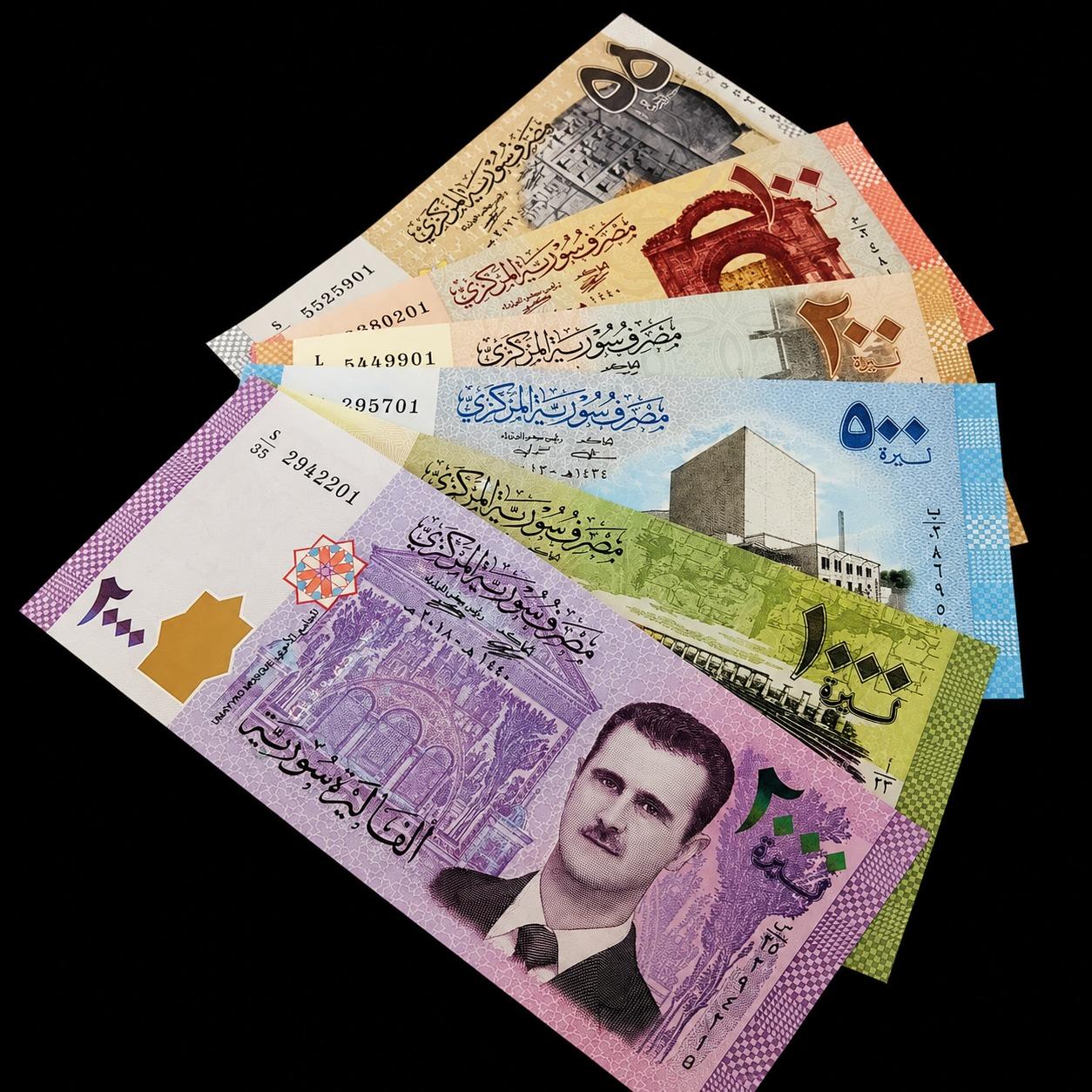 ست 6 عددی سوریه خشک سوپربانکی