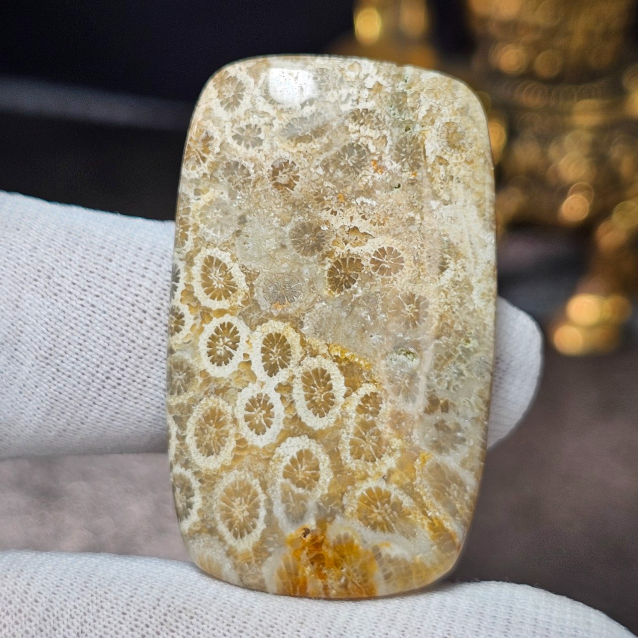  نگین درشت سنگ طبیعی فسیل مرجان معدنی 36252