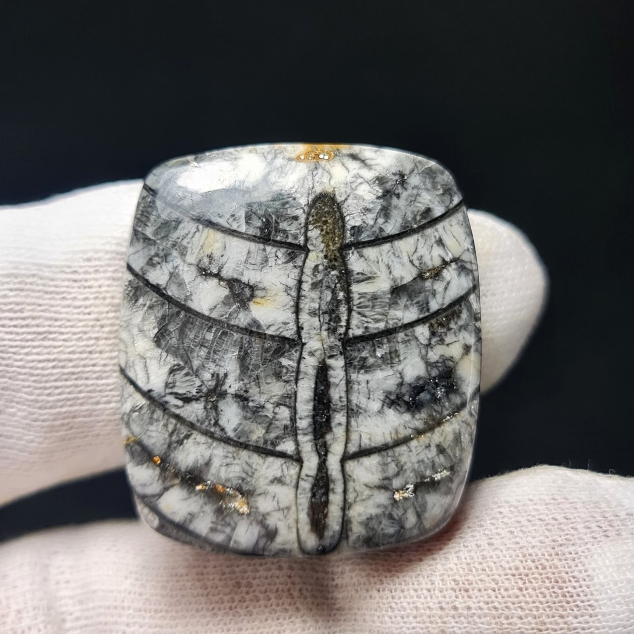 نگین درشت فسیل طبیعی ارتروسراز 30397