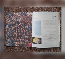 مغز