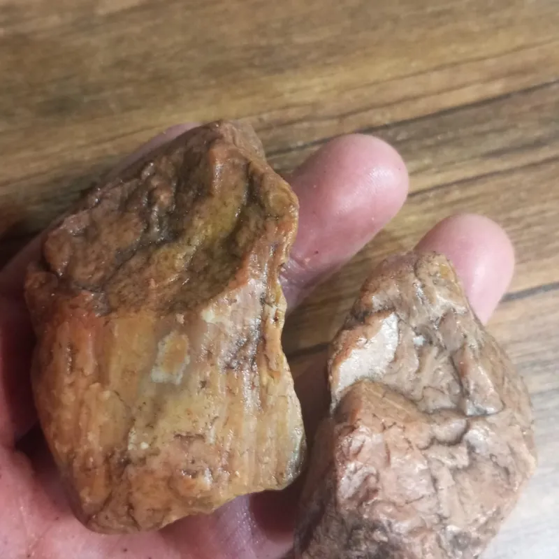 دو قطعه عقیق کارنلین