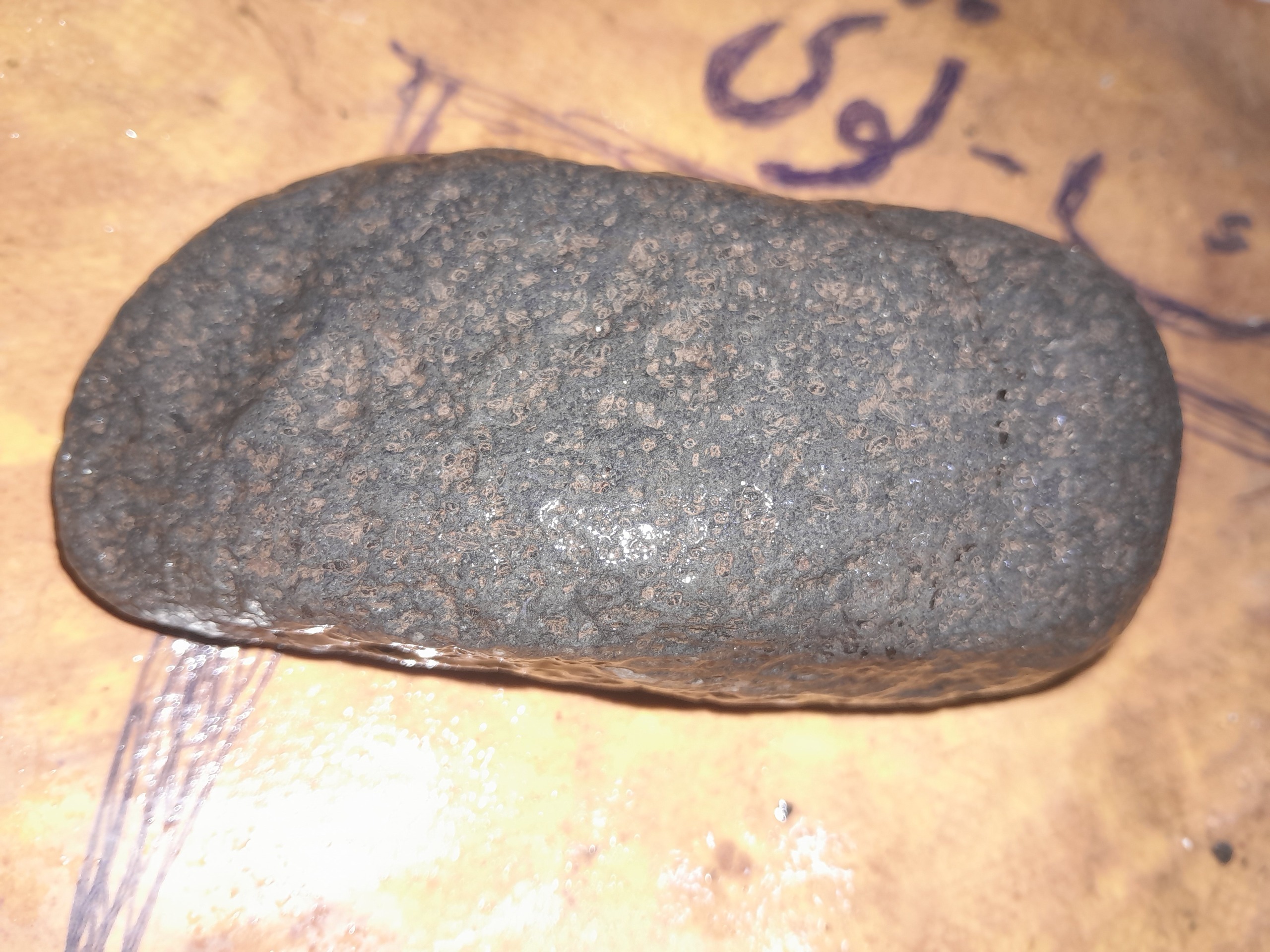 شهاب باوزن 334گرم