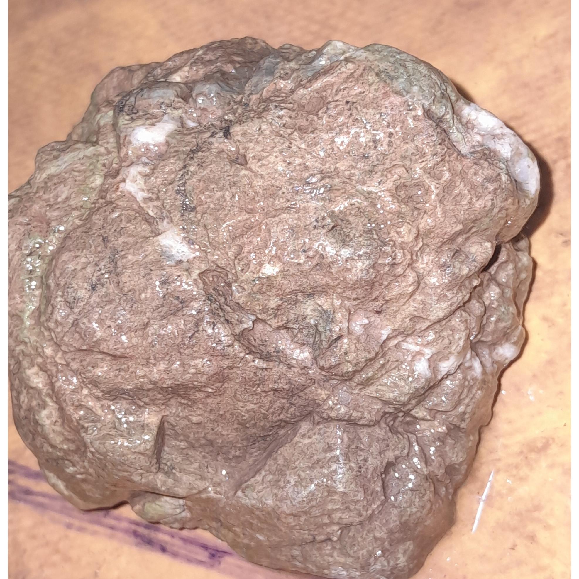 شهاب سنگ مریخ و309گرم