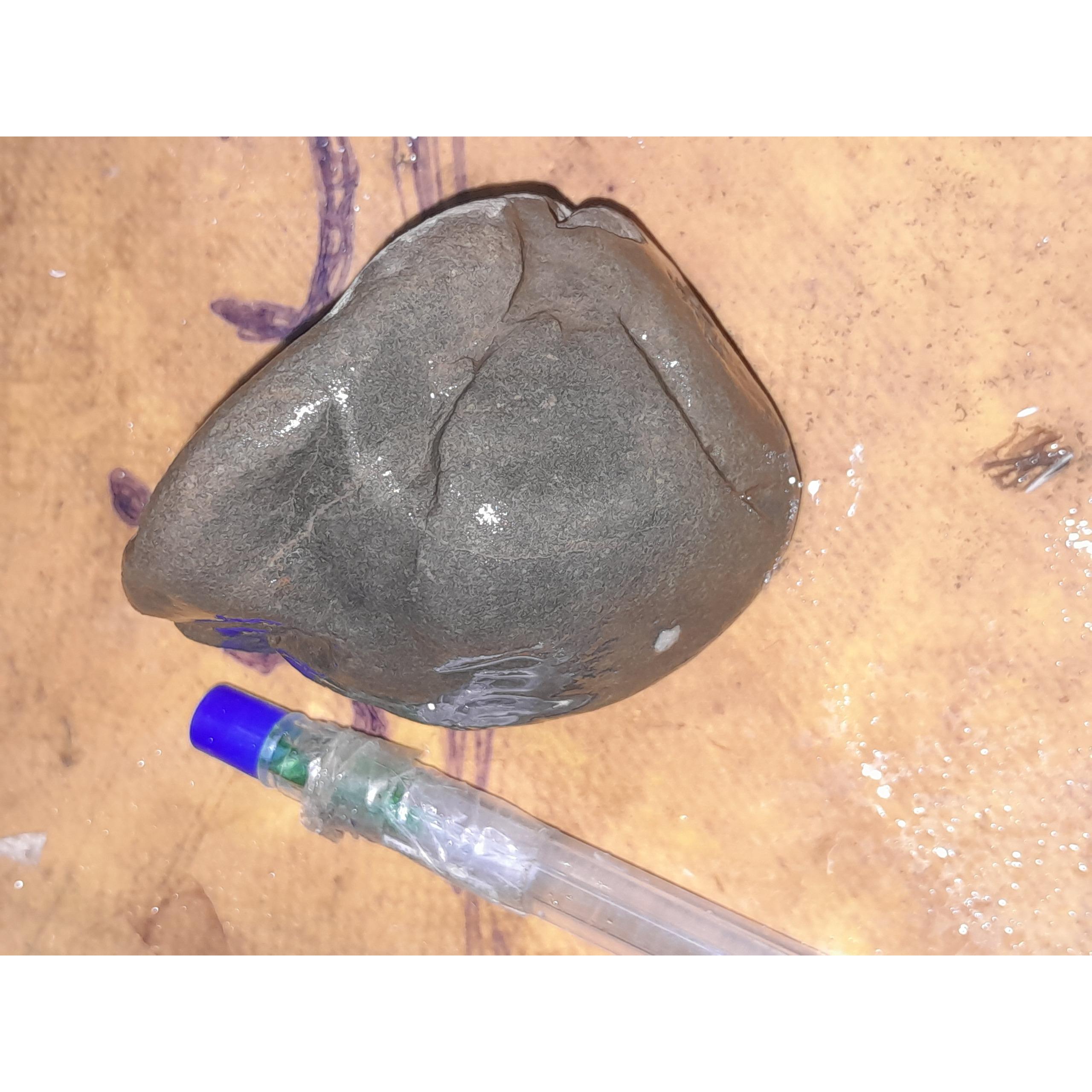 شهاب سنگ راف الماس ماه 166گرم