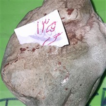 قطعه