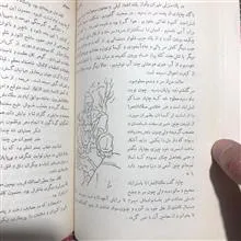 حاجی