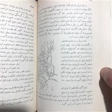 حاجی