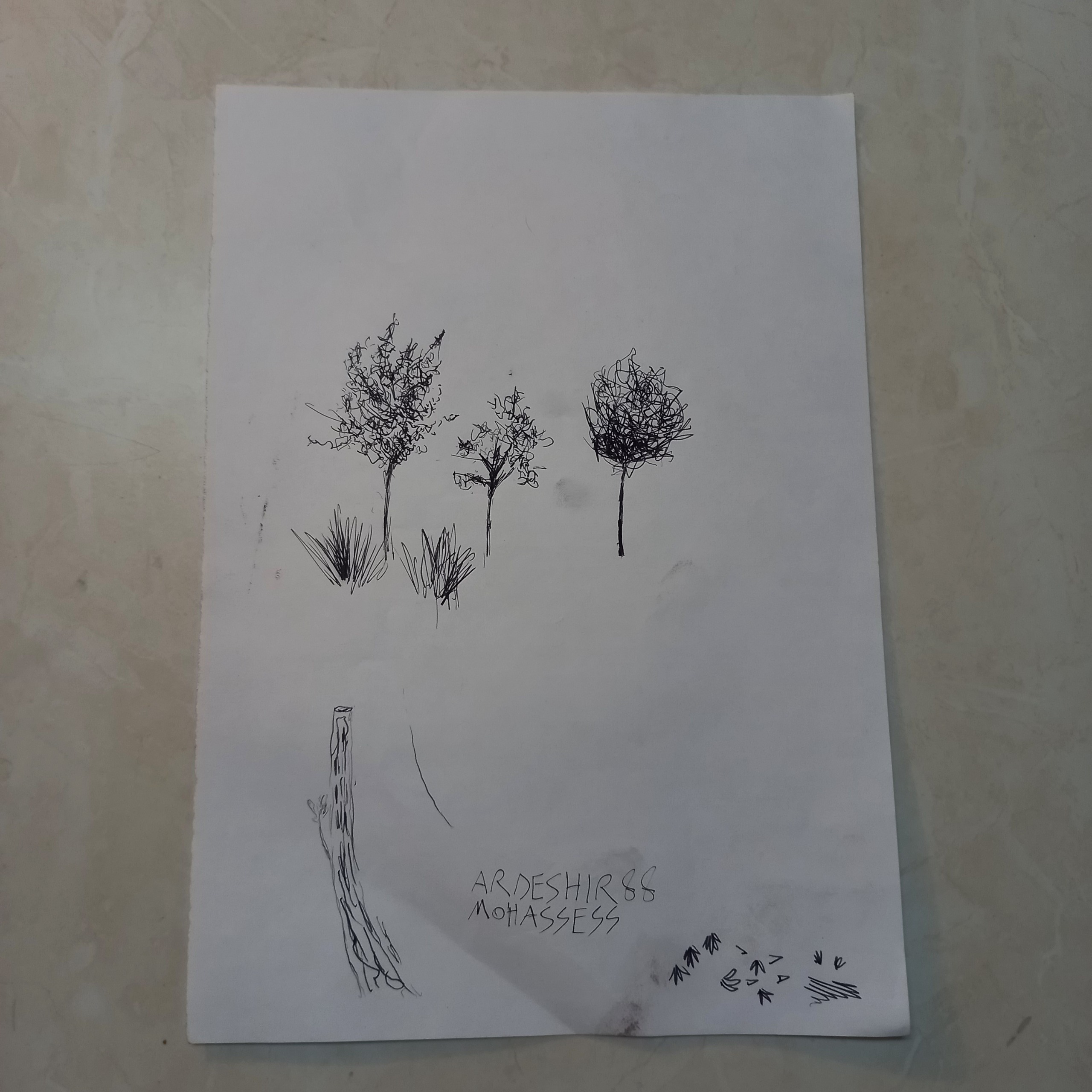 یک دانه نقاشی