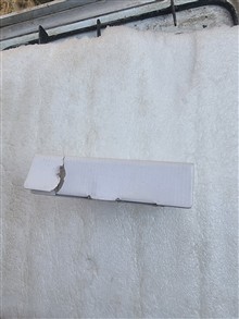 کارتن
