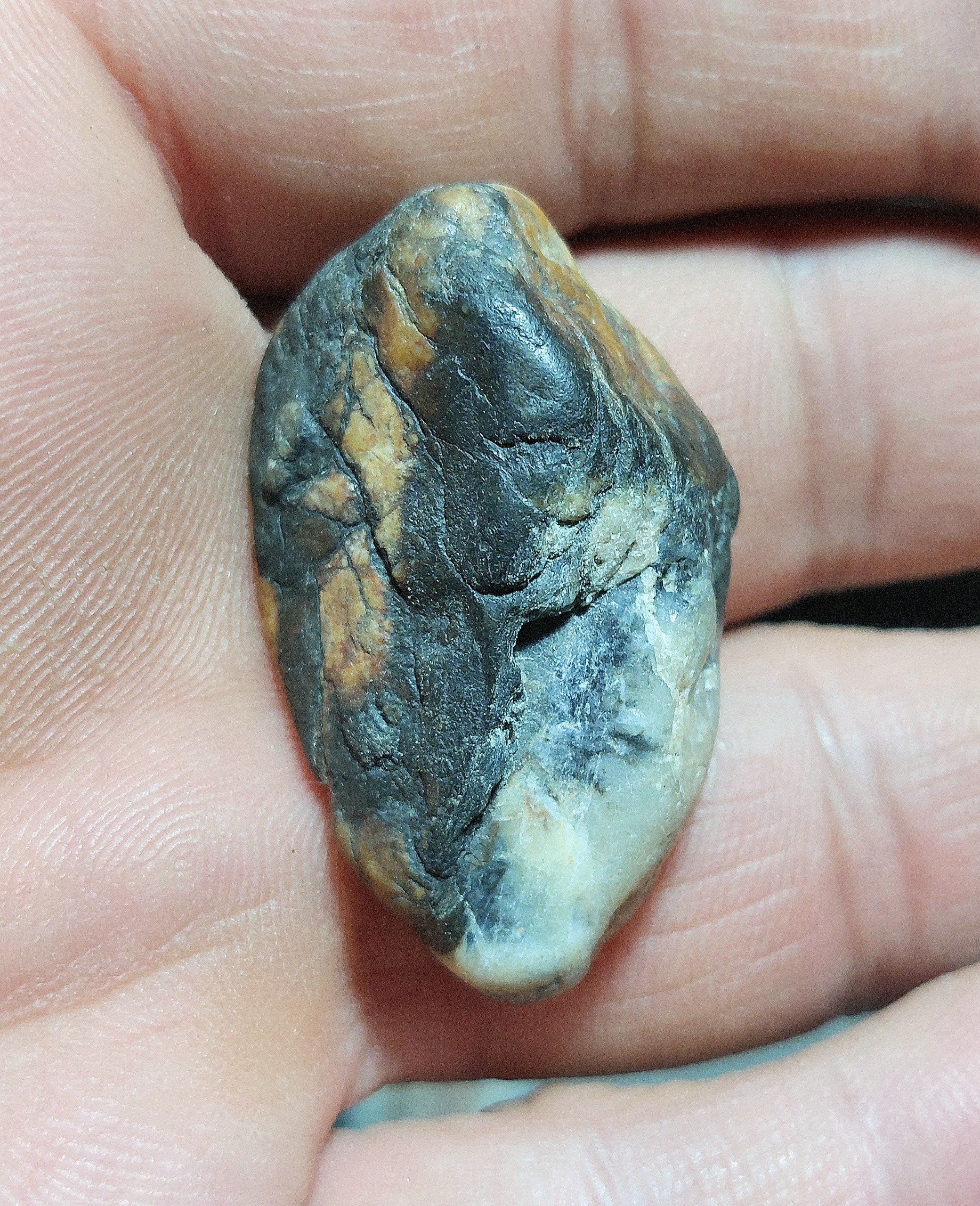 مهره سنگ راف