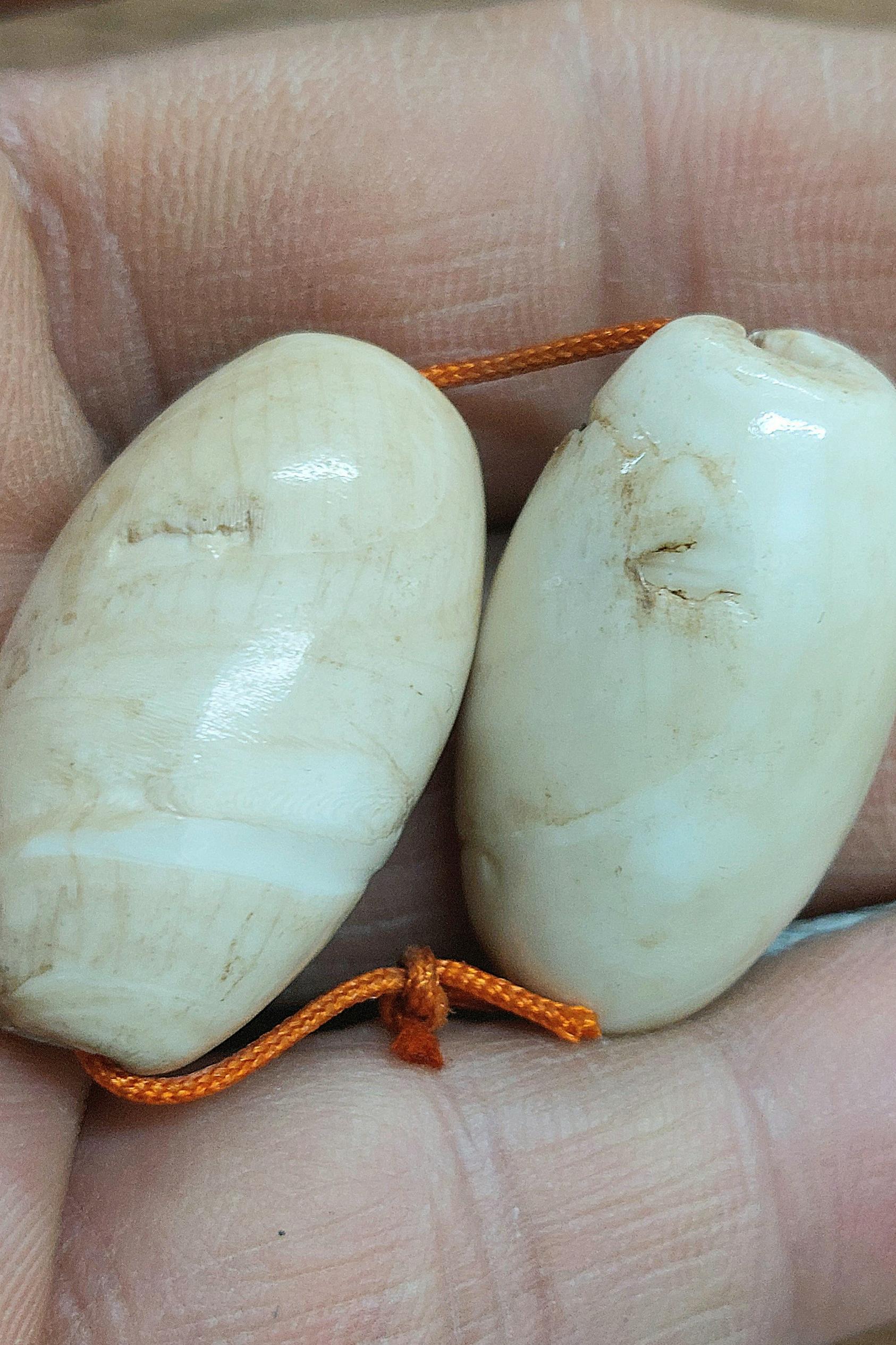 جفت مهره عطف بحری