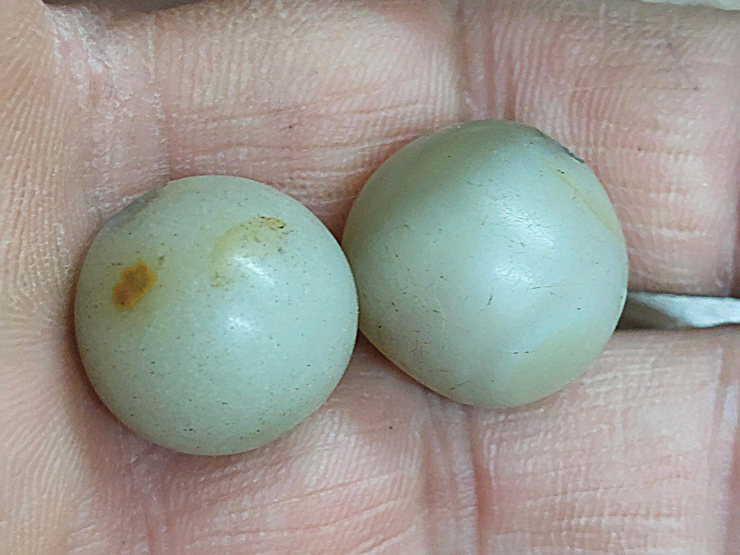 جفت عقیق جزع قدیمی