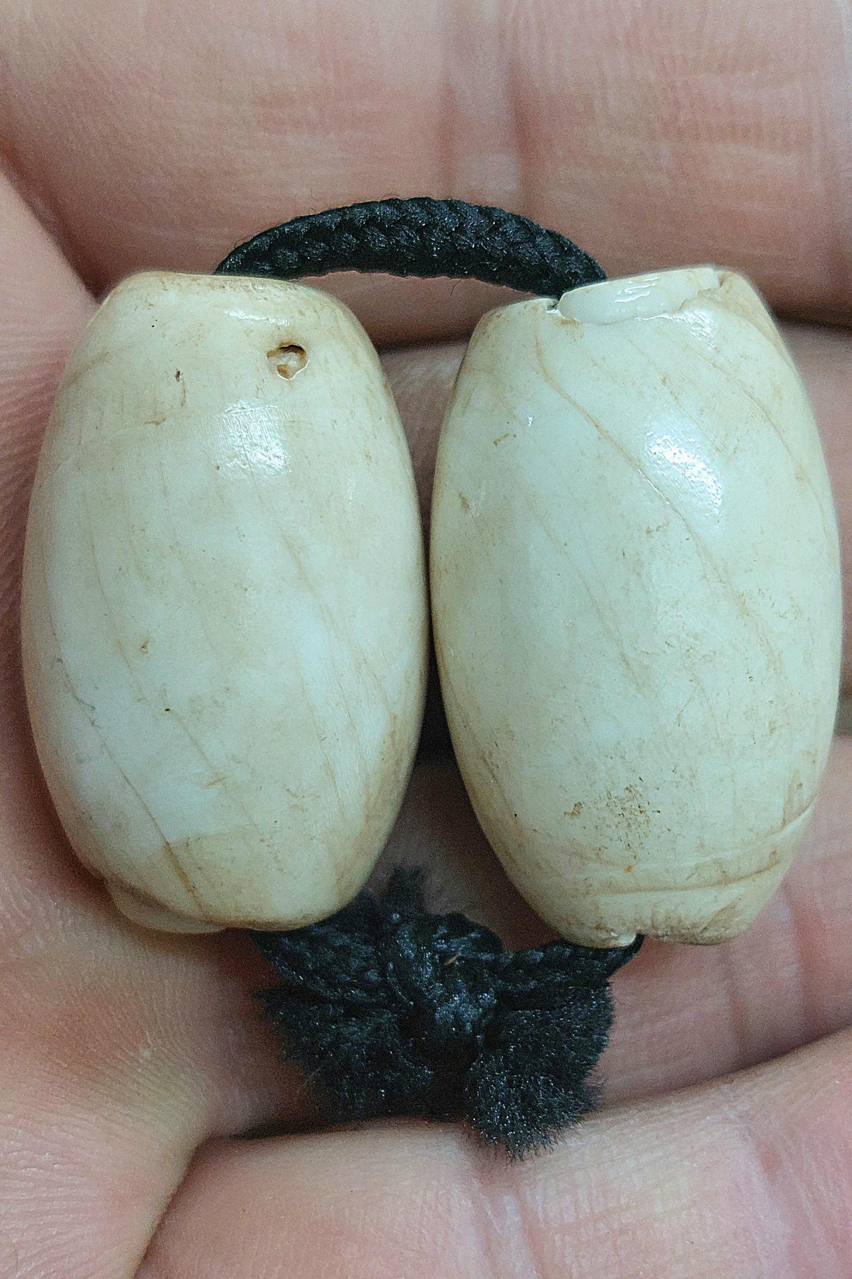 جفت مهره عطف بحری